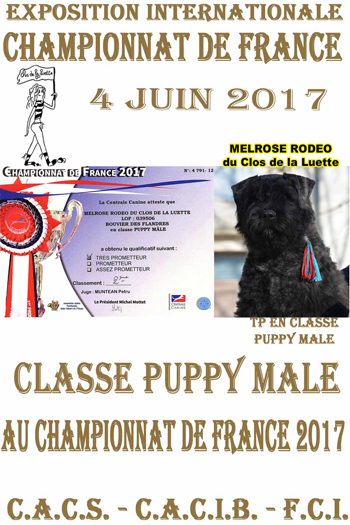 MELROSE du Clos de la Luette championnat de france 17